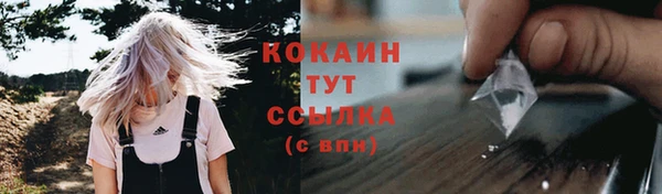 spice Снежногорск