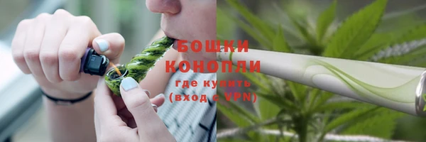 spice Снежногорск