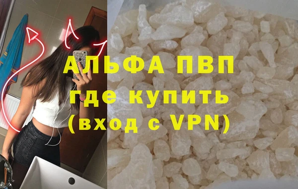 spice Снежногорск