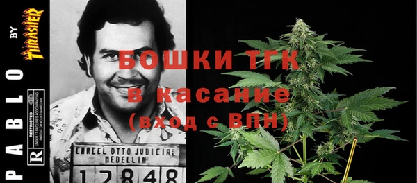 твердый Слюдянка