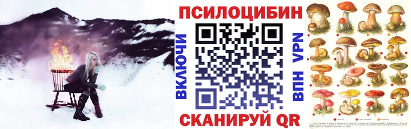 Псилоцибиновые грибы Cubensis кракен Струнино